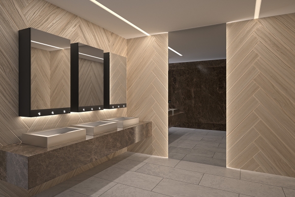 sanitairesblocmiroir510203.jpg