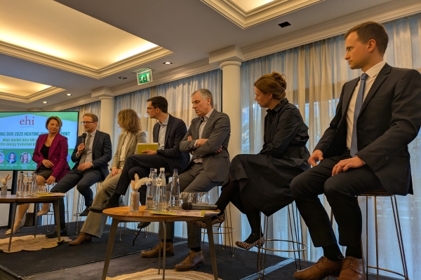 ehipanel.jpg