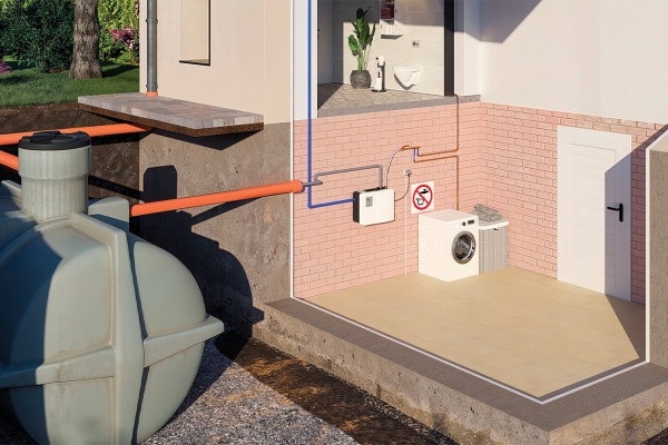 sanirain4pictureinsitu.jpg