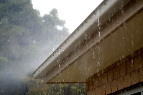rain432770.jpg