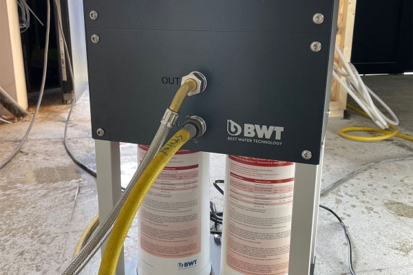 bwt6.jpg