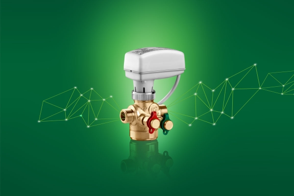 caleffi3.jpg