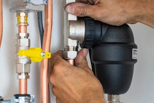 fernox22.jpg