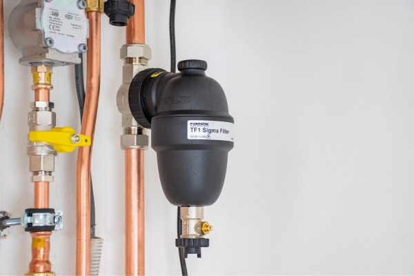 fernox29.jpg