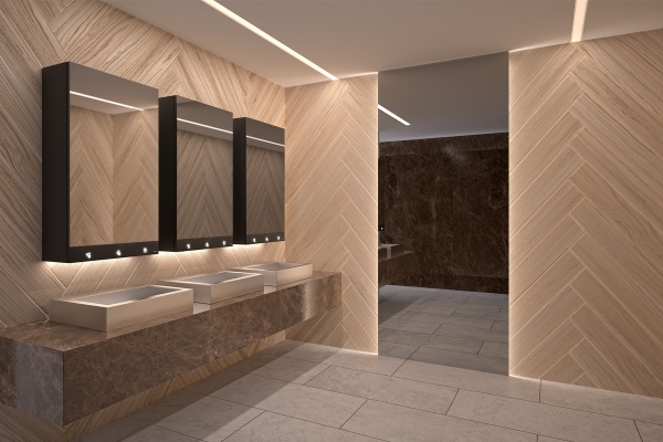 sanitairesblocmiroir510203delabie.jpg