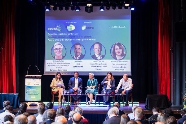 eurogaspanel.jpg