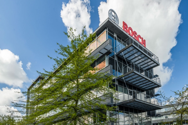 boschvrielingfoto2_1.jpg