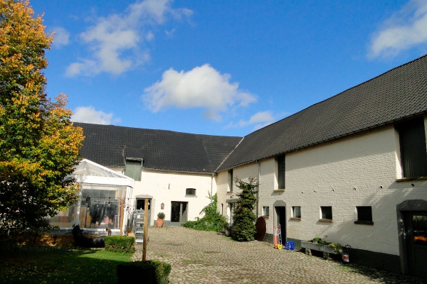 termicobertinchampsfoto1bis.jpg