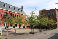 ingeniumjanseniushoffoto1.jpg