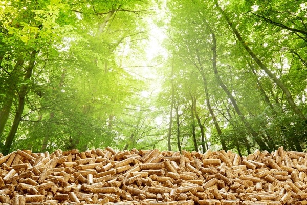 108046955layeroforganicwoodpellets.jpg
