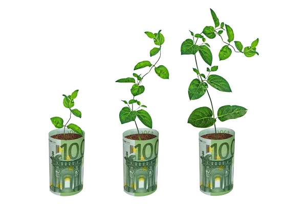 121457064plantgrowingfromeuro.jpg