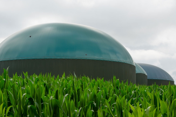 129981034biogasplans.jpg