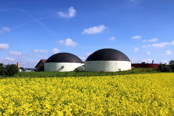 33510503biogasplantineenverkrachtingveld.jpg