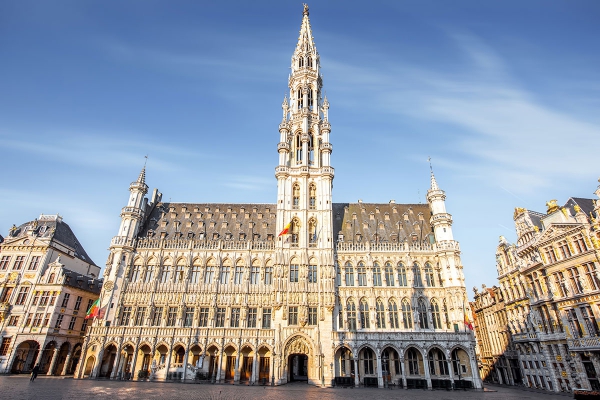 81147897centraalpleininbrusselstad.jpg