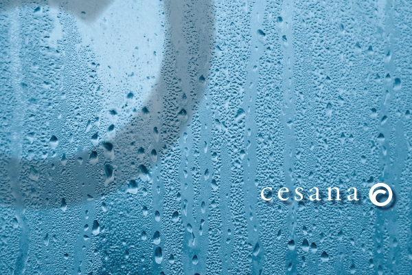 cesanabrochure19.jpg