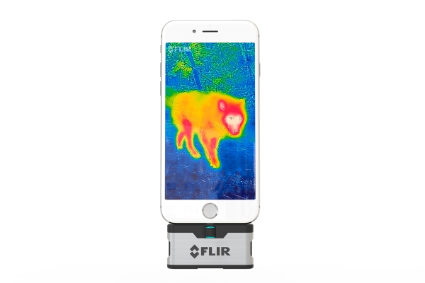 flirone.jpg