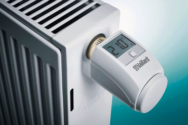 vaillantambisense.jpg
