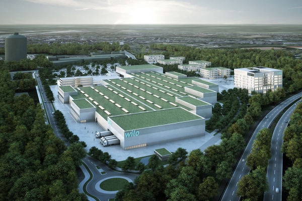 wilocampus.jpg